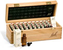 Energy Based Bach Flower