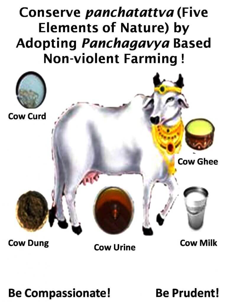 An infographic showing a central white cow surrounded by five icons representing cow-derived products: curd, ghee, dung, urine, and milk, with text advocating for non-violent farming.